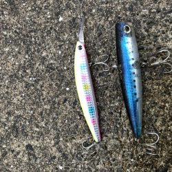 ポコポコドンッ!6月12日