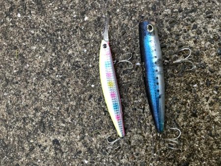 ポコポコドンッ!6月12日