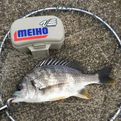 落とし込み　スライダー