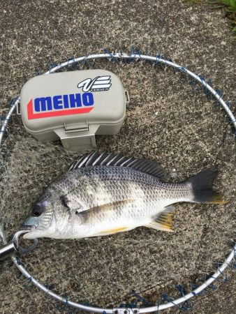 落とし込み　スライダー