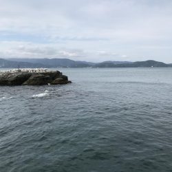 ボウズ逃れするか！？