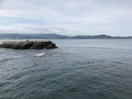 ボウズ逃れするか！？