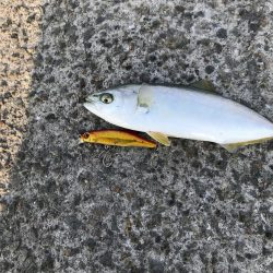 自粛明け１発目