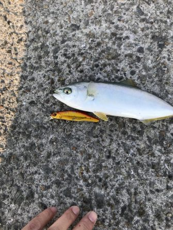 自粛明け１発目