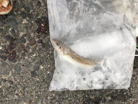 ストリンガーを使ってみた