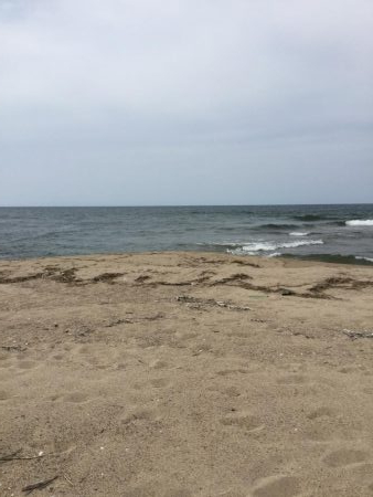 ワームが効く?マゴチ釣果