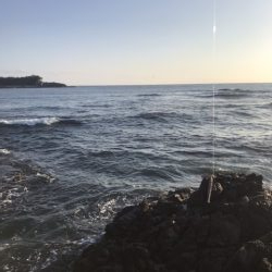 ロックフィッシュ