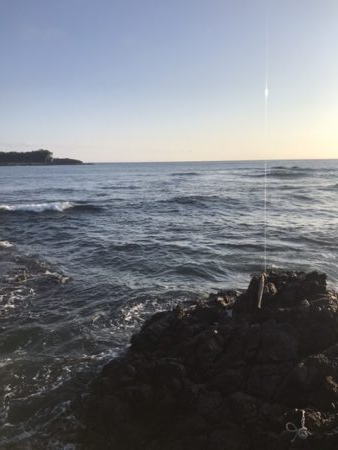 ロックフィッシュ