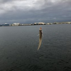 雨後はやっぱり渋かった