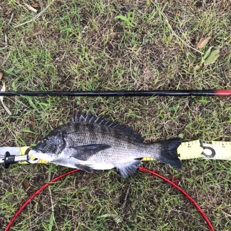 意外にものイガイで初ヒット