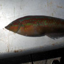 夫婦で市役所裏