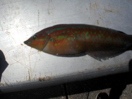 夫婦で市役所裏