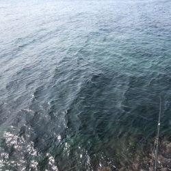 やっと春がきた！