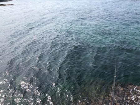 やっと春がきた！