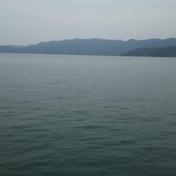 梅雨イカを求めて