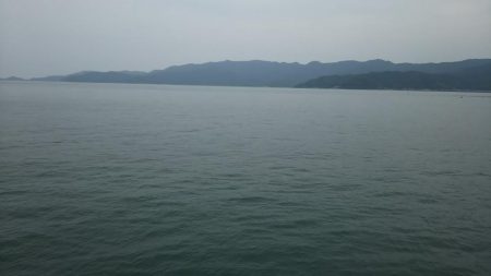 梅雨イカを求めて