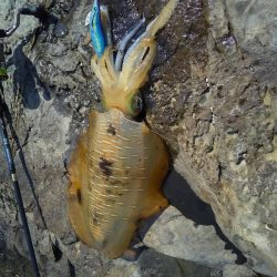 コロナが解除されて２回目の和歌山遠征!!