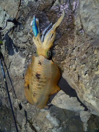 コロナが解除されて２回目の和歌山遠征!!