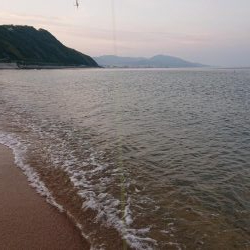 淡路フラット調査〜ソゲシーズン開幕!?