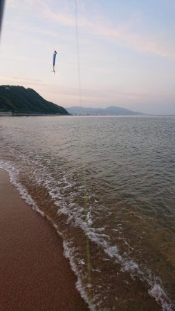 淡路フラット調査〜ソゲシーズン開幕!?