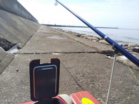 今年初のキスの引き釣り