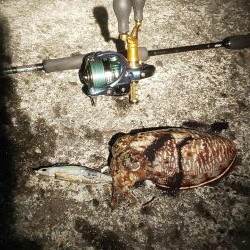 ソーシャルディスタンスを守って