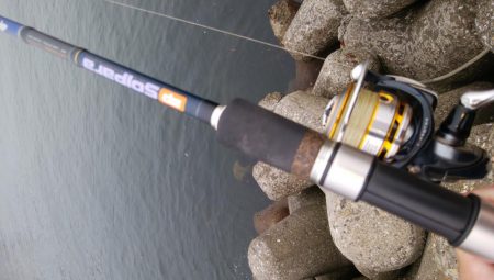 小サバしかいてない