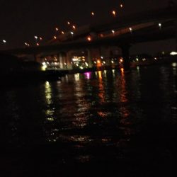 ぶらシーバス!!