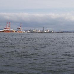 ぶらオクトパッシング!!