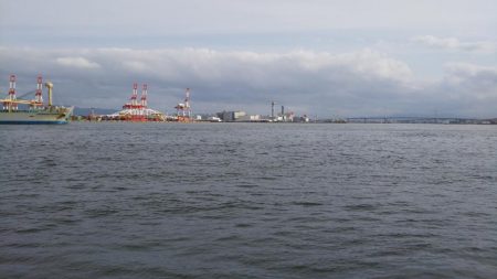 ぶらオクトパッシング!!