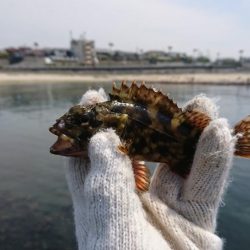 暑さの中での穴釣り