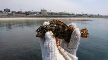 暑さの中での穴釣り
