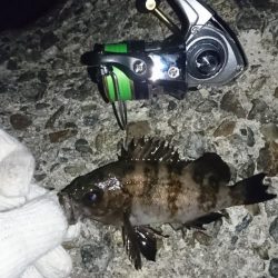 そろそろ厳しいか