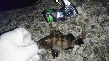 そろそろ厳しいか