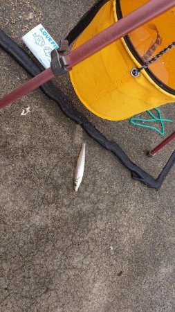 一瞬雨が止み釣行