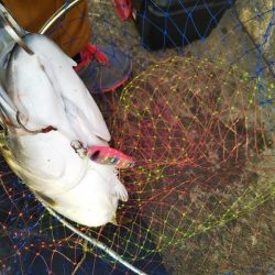 朝から気分爽快！