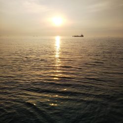 早起きの甲斐が……