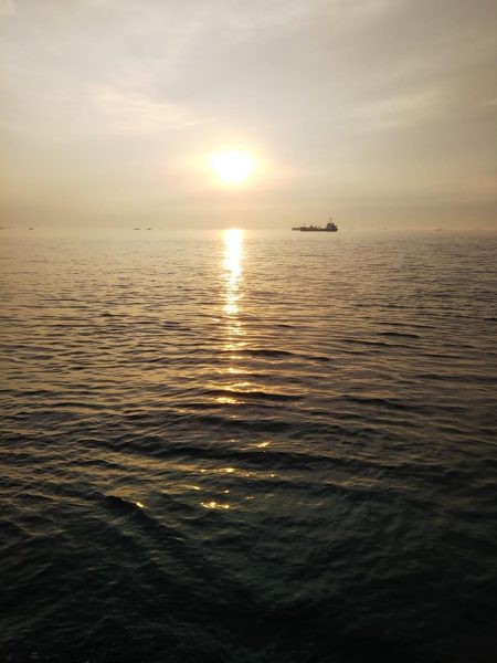 早起きの甲斐が……