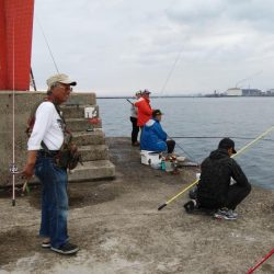 播磨新島釣行