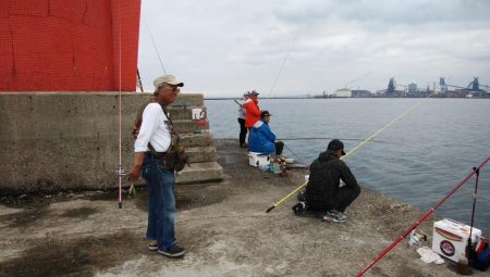 播磨新島釣行