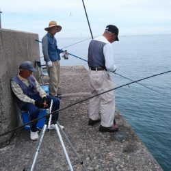 播磨新島釣行