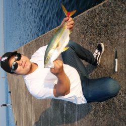 播磨新島キス連投