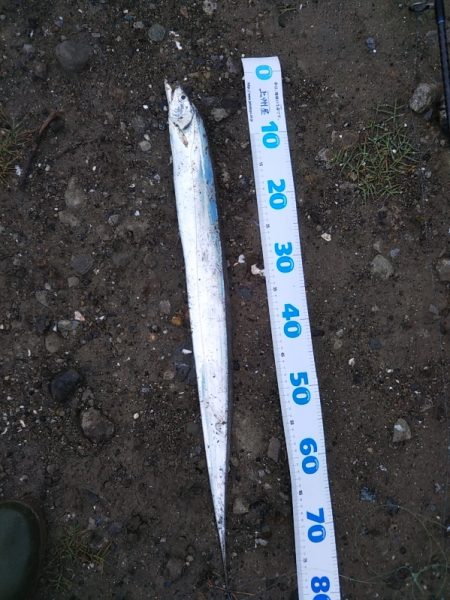 小雨の朝……そろそろ梅雨入り