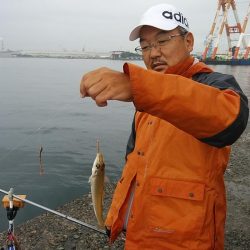 雨の播磨新島釣行