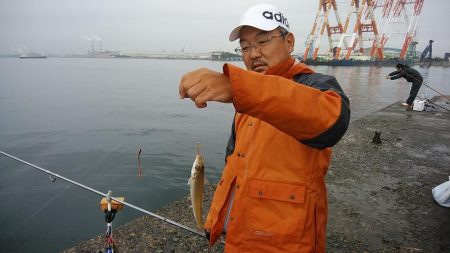 雨の播磨新島釣行