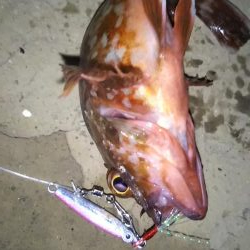 スーパーライトも楽しいかも……