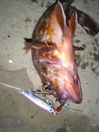 スーパーライトも楽しいかも……