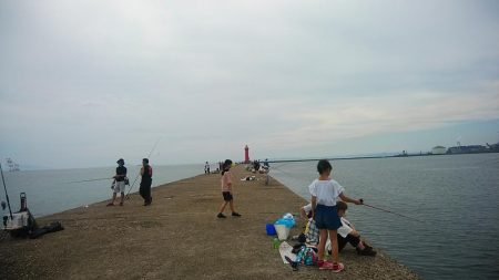 16時から僅かなアタリを楽しみました