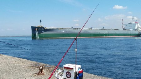 良型キスが消えた播磨新島
