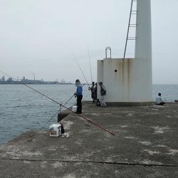 高砂港へキス調査Ⅱ